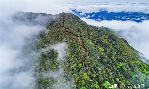 清远连山县大雾山天气_a very和a quite