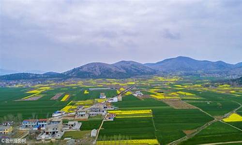 宿州市春天商贸有限责任公司_宿州春天有没有天气