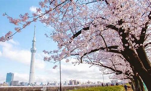 东京四月天气怎么样_4月中旬东京天气情况