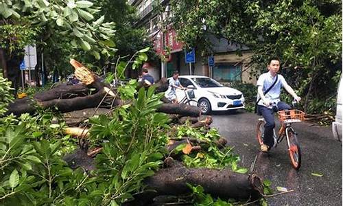 平时台风过后天气好吗_台风过后还会热吗